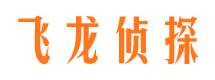 武侯侦探